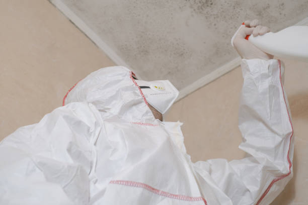 Best Commercial Mold Remediation in Lakefield, MN