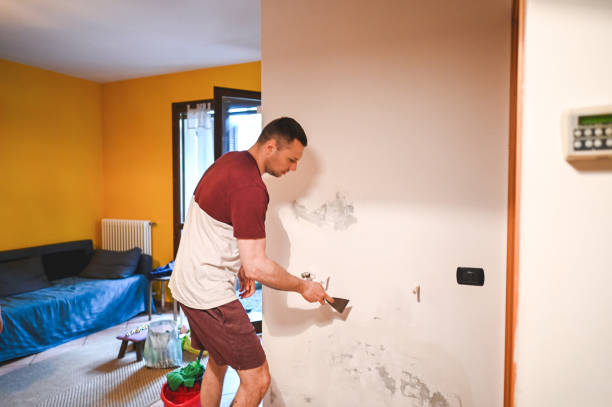 Best Emergency Mold Remediation in Lakefield, MN